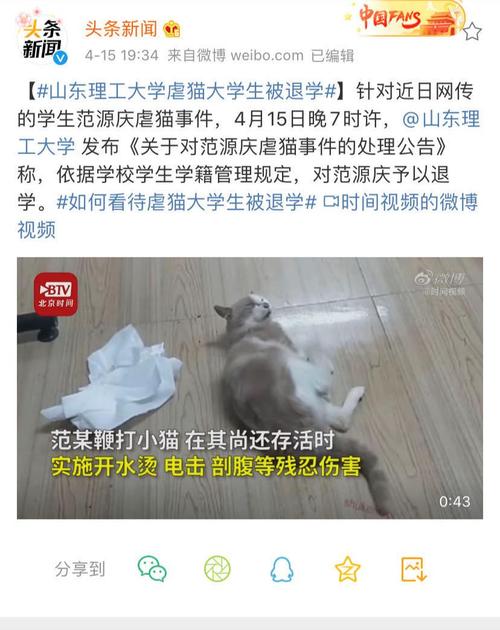 山东理工虐猫大学生被退学，合法或合规吗「虐猫被退学有法律依据吗」 太阳能蓄电池